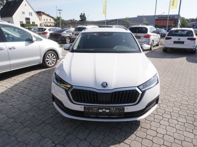 Skoda Octavia Gebrauchtwagen Skoda Octavia Gebrauchtwagen