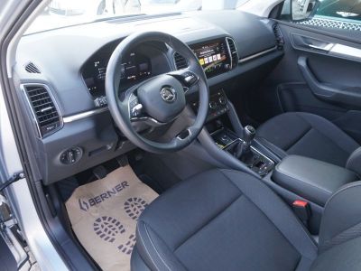 Skoda Karoq Gebrauchtwagen