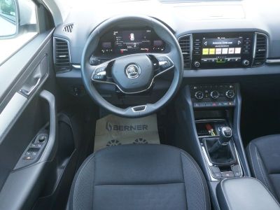 Skoda Karoq Gebrauchtwagen