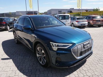 Audi Q8 e-tron Gebrauchtwagen
