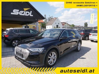 Audi Q8 e-tron Gebrauchtwagen