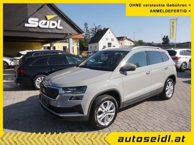 Skoda Karoq Gebrauchtwagen