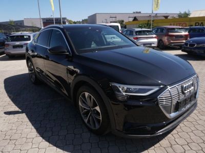 Audi Q8 e-tron Gebrauchtwagen