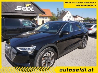 Audi Q8 e-tron Gebrauchtwagen