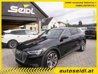 Audi Q8 e-tron Gebrauchtwagen