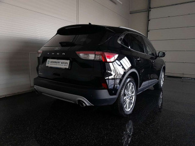 Ford Kuga Gebrauchtwagen