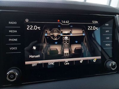 Skoda Karoq Gebrauchtwagen