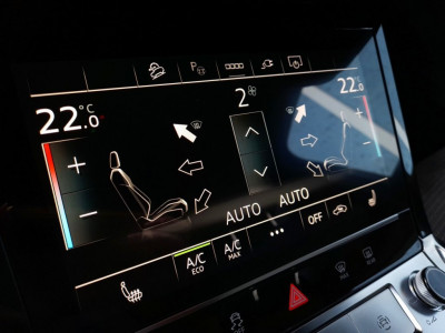 Audi Q8 e-tron Gebrauchtwagen