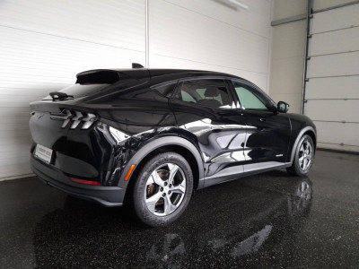 Ford Mustang Mach-E Gebrauchtwagen