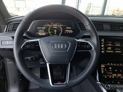 Audi Q8 e-tron Gebrauchtwagen