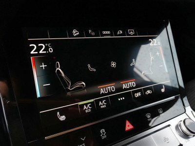 Audi Q8 e-tron Gebrauchtwagen