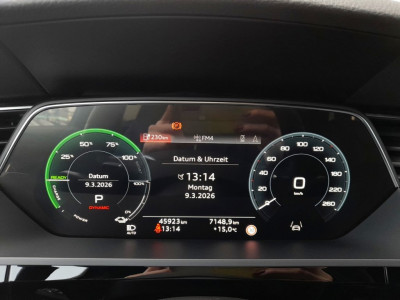 Audi Q8 e-tron Gebrauchtwagen