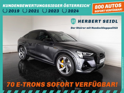 Audi Q8 e-tron Gebrauchtwagen