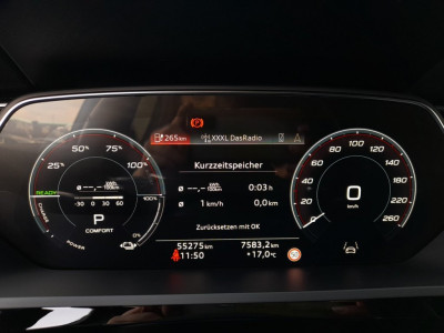 Audi Q8 e-tron Gebrauchtwagen