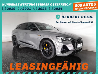 Audi Q8 e-tron Gebrauchtwagen