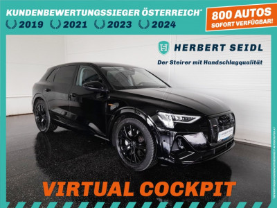 Audi Q8 e-tron Gebrauchtwagen