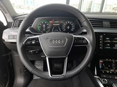Audi Q8 e-tron Gebrauchtwagen