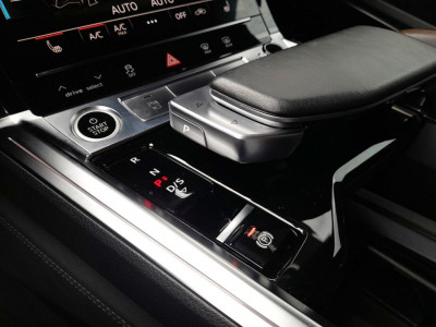 Audi Q8 e-tron Gebrauchtwagen