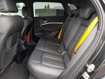 Audi Q8 e-tron Gebrauchtwagen