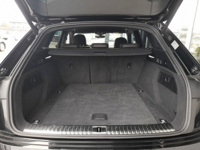 Audi Q8 e-tron Gebrauchtwagen