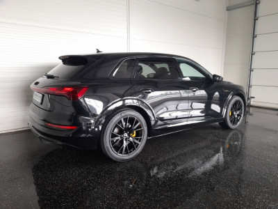 Audi Q8 e-tron Gebrauchtwagen