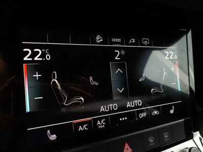 Audi Q8 e-tron Gebrauchtwagen