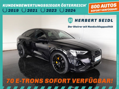 Audi Q8 e-tron Gebrauchtwagen