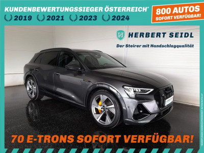 Audi Q8 e-tron Gebrauchtwagen