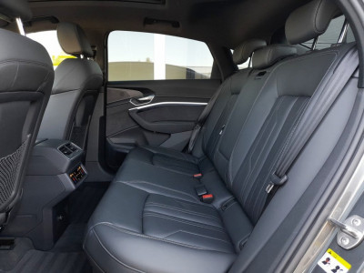 Audi Q8 e-tron Gebrauchtwagen