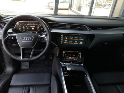 Audi Q8 e-tron Gebrauchtwagen