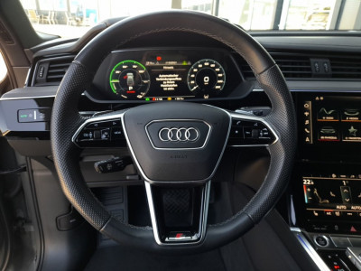 Audi Q8 e-tron Gebrauchtwagen