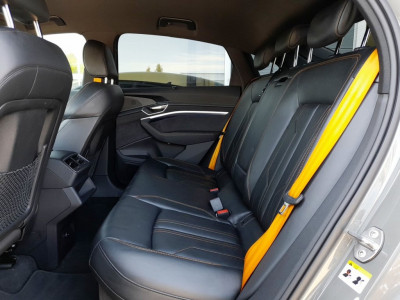 Audi Q8 e-tron Gebrauchtwagen