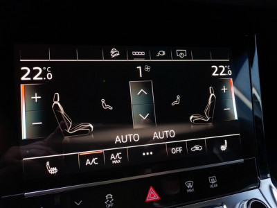 Audi Q8 e-tron Gebrauchtwagen