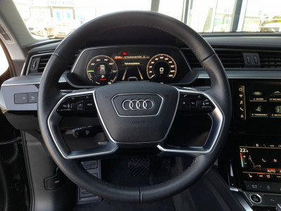 Audi Q8 e-tron Gebrauchtwagen