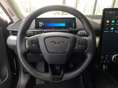 Ford Mustang Gebrauchtwagen Ford Mustang Gebrauchtwagen