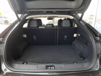 Ford Mustang Gebrauchtwagen Ford Mustang Gebrauchtwagen