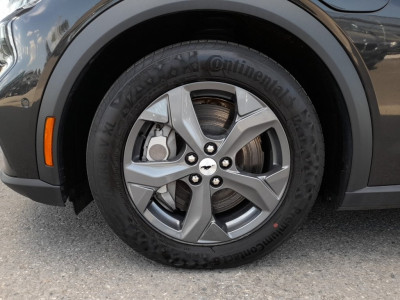 Ford Mustang Gebrauchtwagen Ford Mustang Gebrauchtwagen