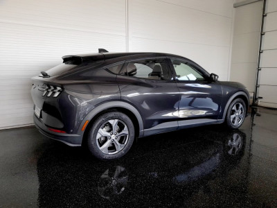 Ford Mustang Gebrauchtwagen Ford Mustang Gebrauchtwagen