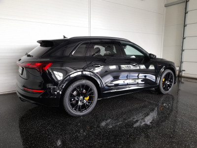Audi Q8 e-tron Gebrauchtwagen