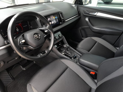 Skoda Karoq Gebrauchtwagen