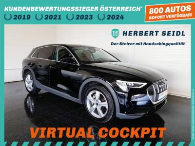 Audi Q8 e-tron Gebrauchtwagen