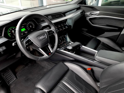 Audi Q8 e-tron Gebrauchtwagen