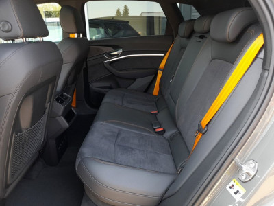 Audi Q8 e-tron Gebrauchtwagen