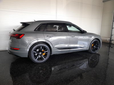 Audi Q8 e-tron Gebrauchtwagen
