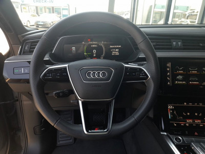 Audi Q8 e-tron Gebrauchtwagen