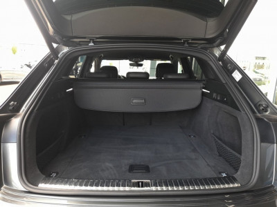 Audi Q8 e-tron Gebrauchtwagen