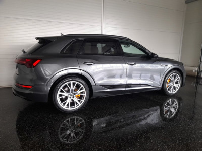 Audi Q8 e-tron Gebrauchtwagen