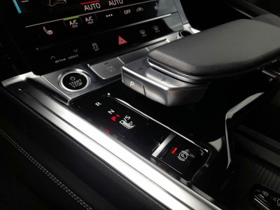 Audi Q8 e-tron Gebrauchtwagen