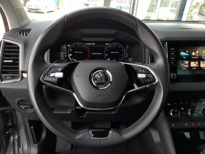 Skoda Karoq Gebrauchtwagen