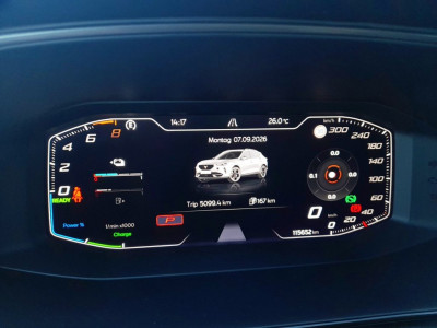 Cupra Formentor Gebrauchtwagen